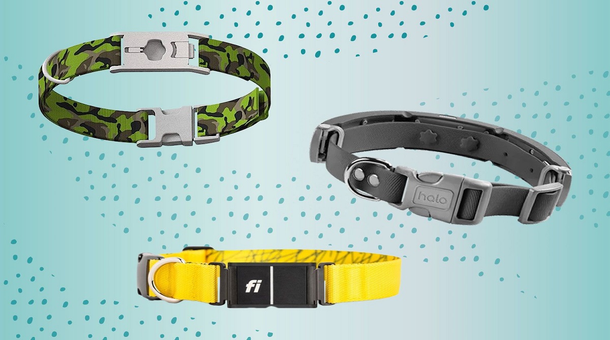 Smart Dog Collars