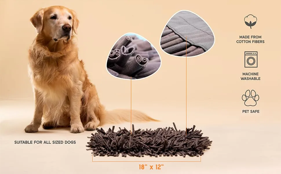 Toys that keep dogs busy