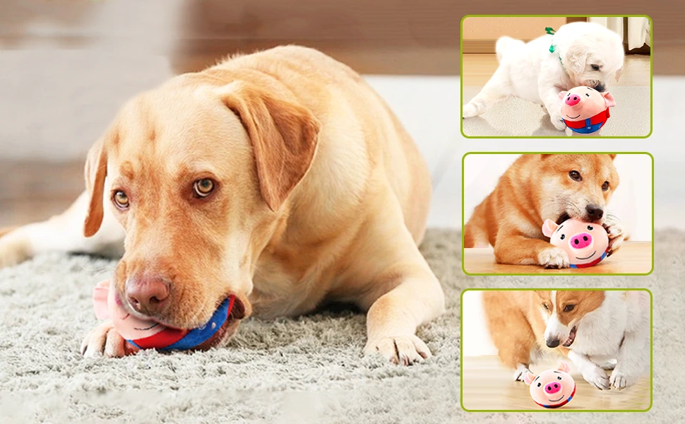 Best Interactive Dog Toys