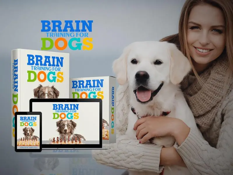 Brain Training for Dogs vs Obedience Classes