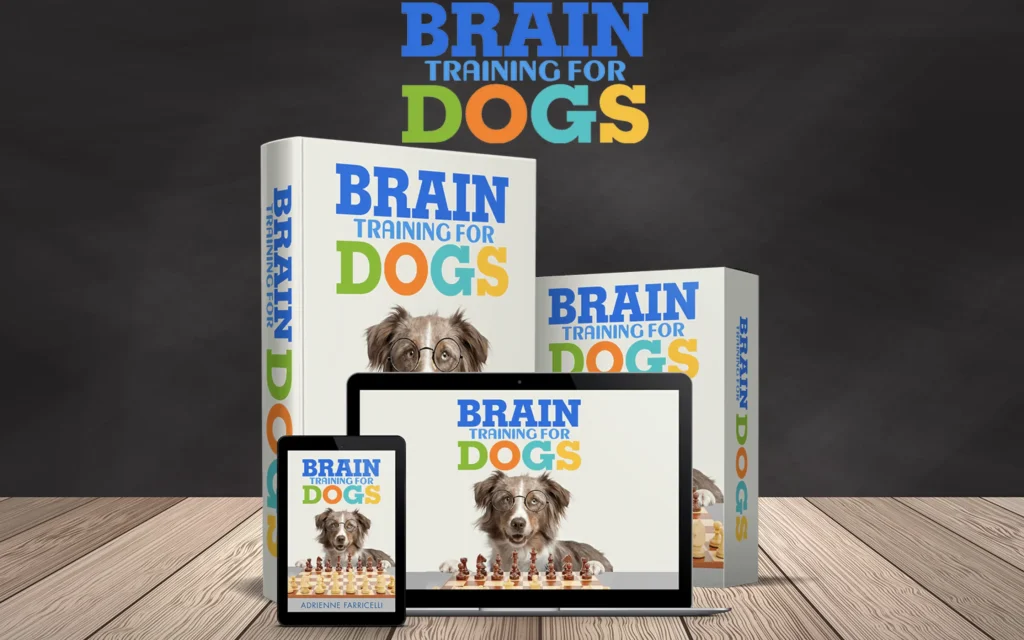 Is Brain Training for Dogs Worth It