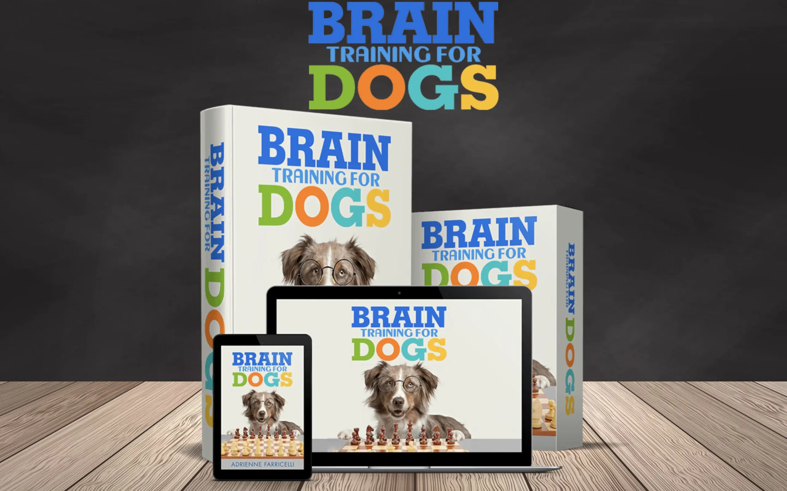 Is Brain Training for Dogs Worth It