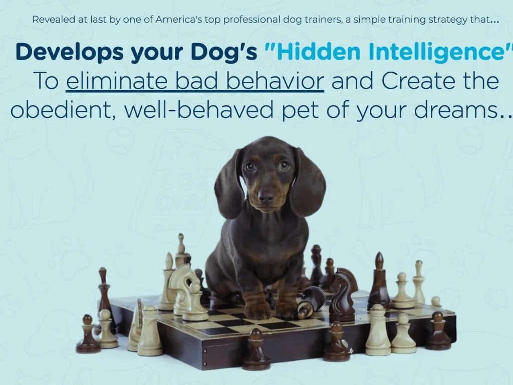 Is Brain Training for Dogs Worth It? Honest Pros & Cons (Detailed Review)