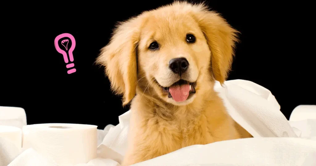 How to Potty Train Your Puppy in 7 Days: A Complete, Proven Guide for New Dog Owners