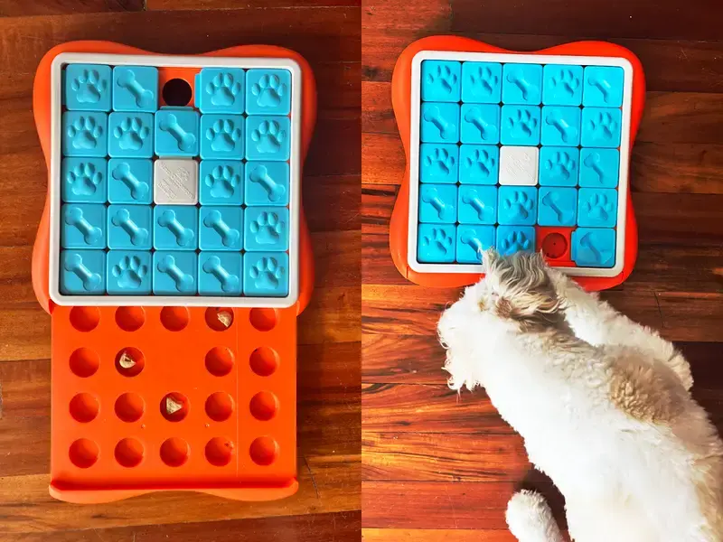 best puzzle toys for smart dogs