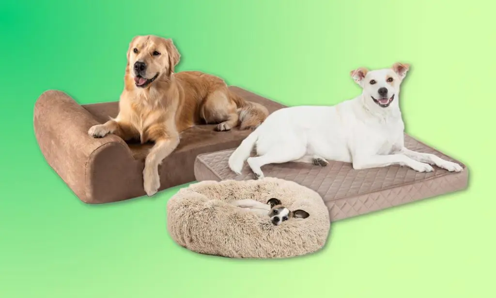 Best Dog Beds for Large Dogs