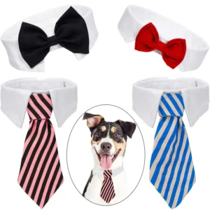 premium dog accessories