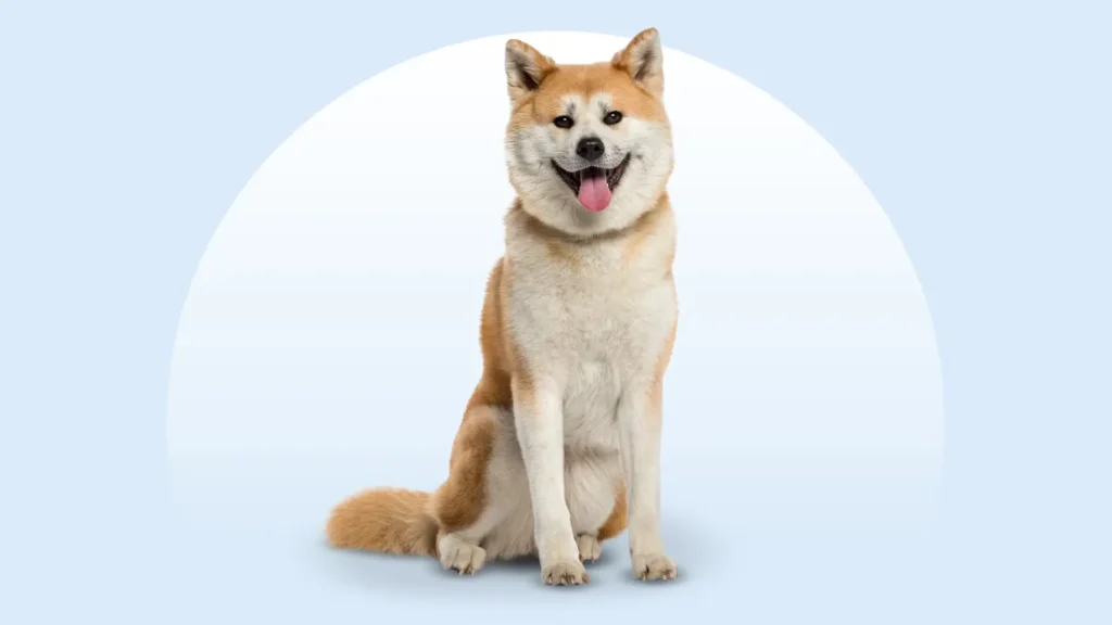 best guard dog breeds