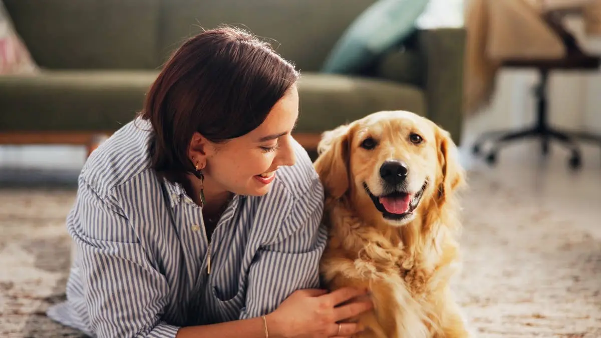 best guard dog breeds
