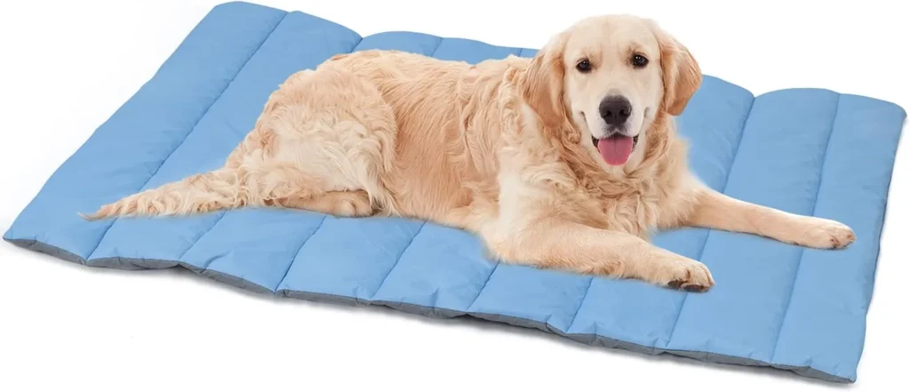 Best Dog Mats