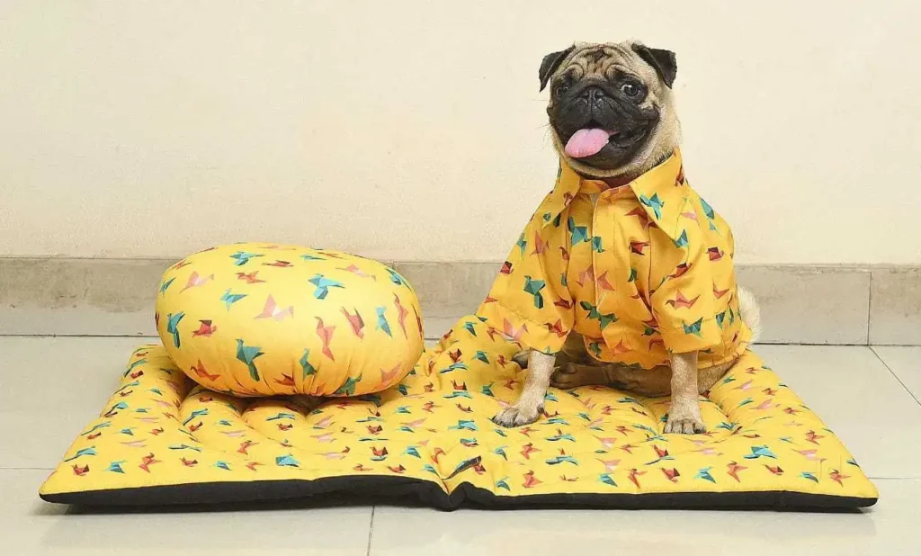 Best Dog Mats