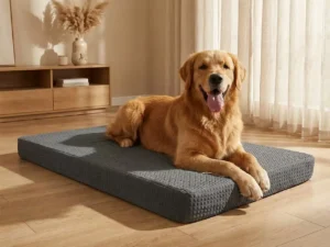 premium dog accessories