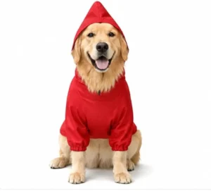 premium dog accessories