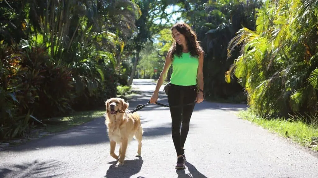 Dog Walker