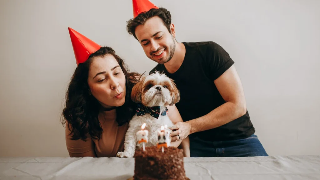 Furry Friend’s Birthday