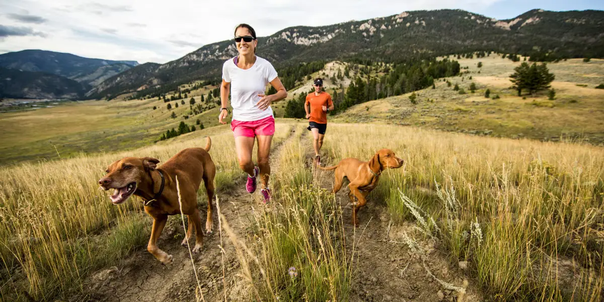 How Much Daily Exercise dog need