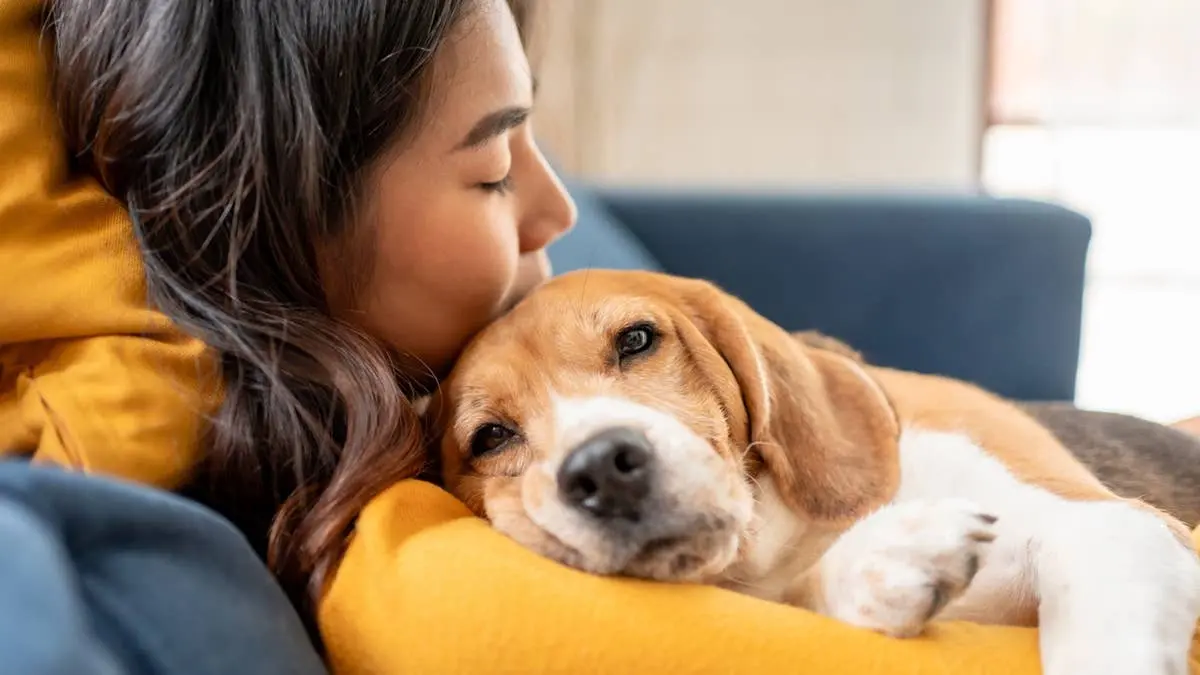 7 Signs Your Dog Needs Brain Training