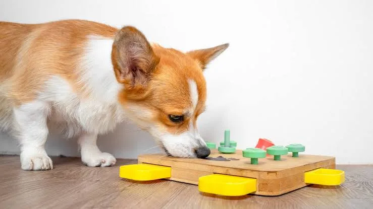 How Brain Training Games