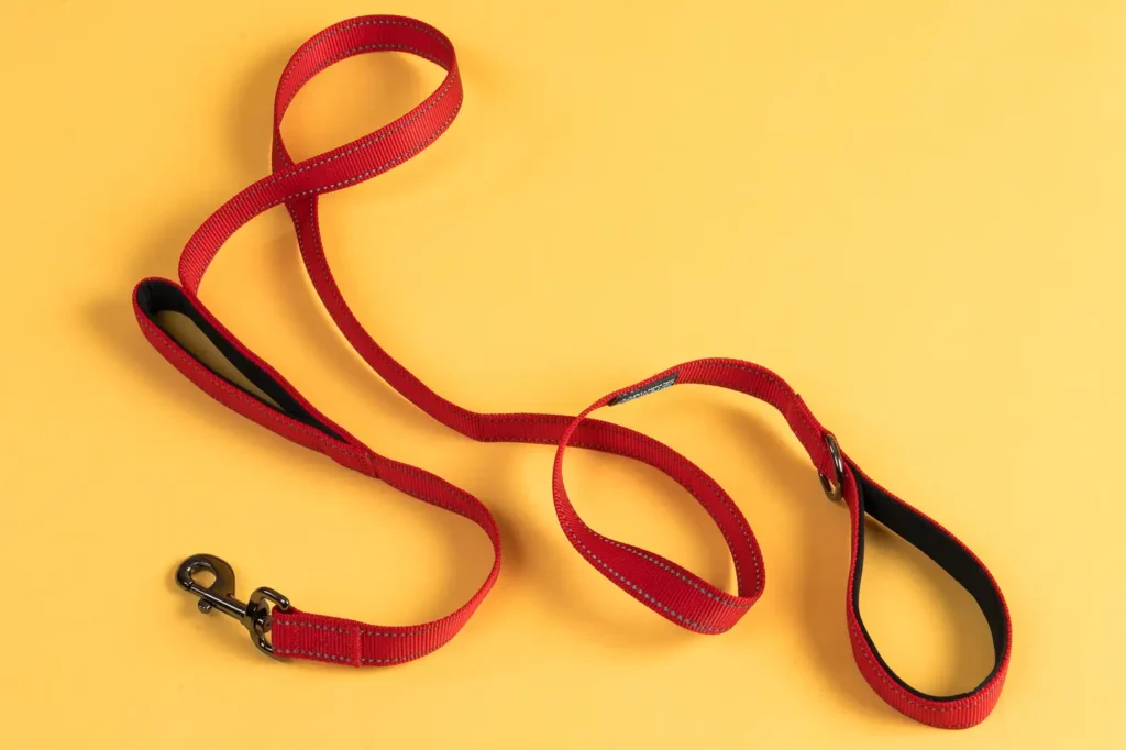 Leashes