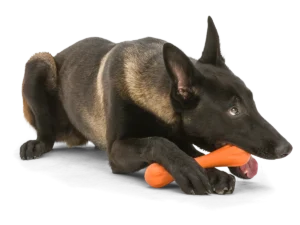 West Paw Zogoflex Hurley