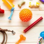 Top 10 Best Chew Toys for Aggressive Chewers
