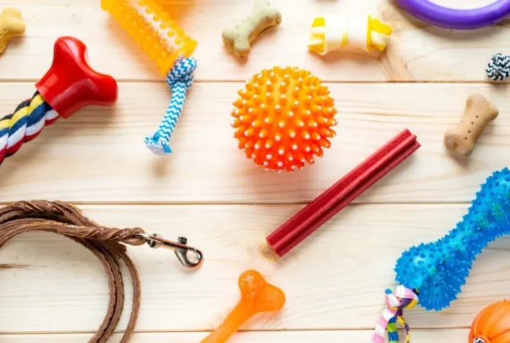 Top 10 Best Chew Toys for Aggressive Chewers