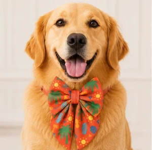 dog bow styles