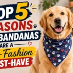 Top 5 Reasons Dog Bandanas Are a Pet-Fashion Must-Have