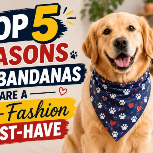 Top 5 Reasons Dog Bandanas Are a Pet-Fashion Must-Have