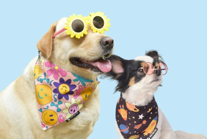 7 Best Dog Bandanas for Every Season & Occasion