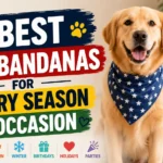 7 Best Dog Bandanas for Every Season & Occasion