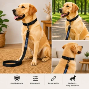 FIS Black Dog Leash