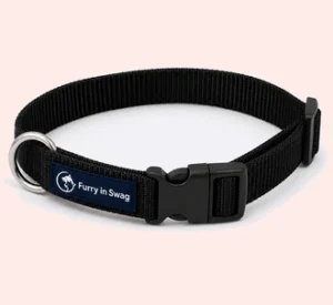dog-collars