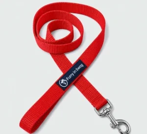 dog-leashes