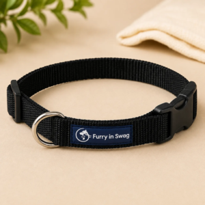 Dog Collar