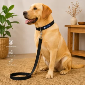 FIS Black Dog Leash
