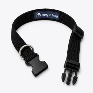 Dog Collar