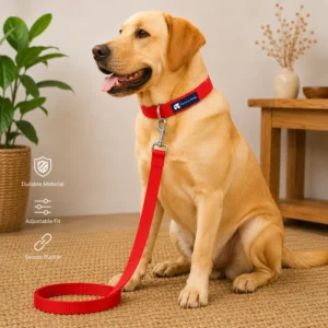 Red Dog Collar