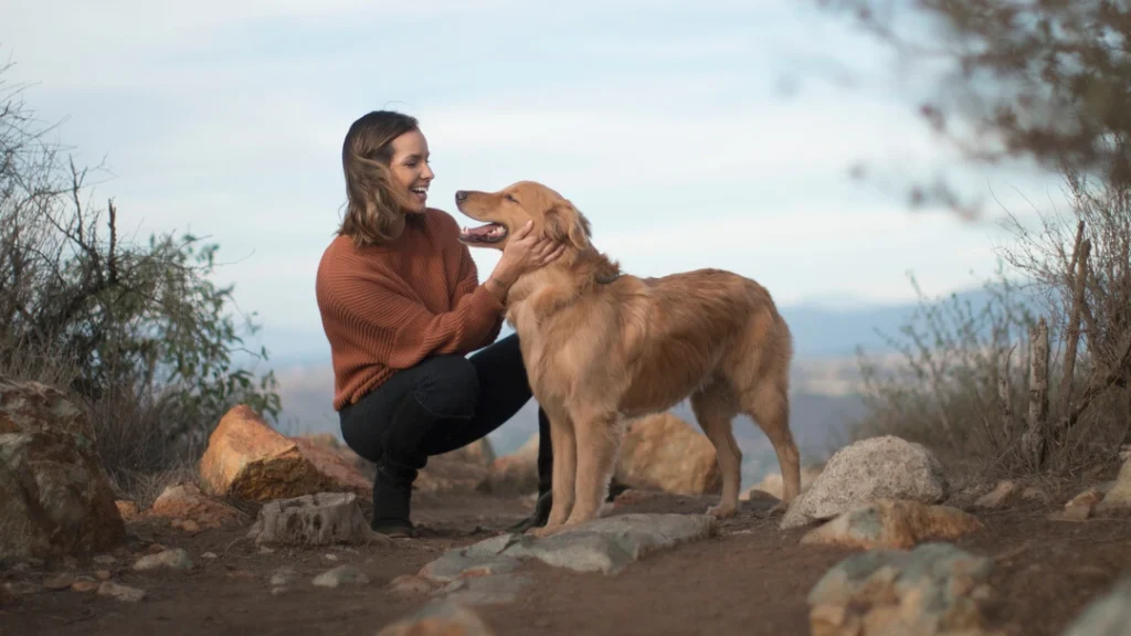 how to choose the right food for your dog's breed and age