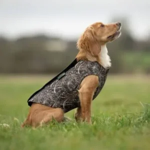 dog clothes fabric guide
