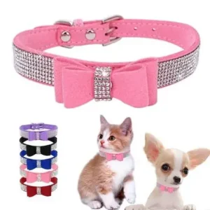 dog bow styles