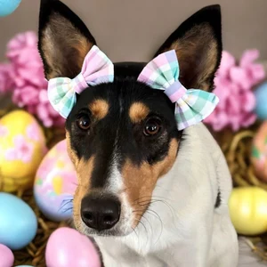 dog bow styles