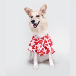 best fabric for dog clothes
