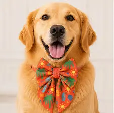 dog bow styles