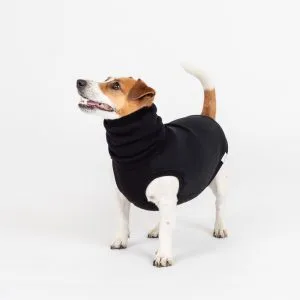 best fabric for dog clothes