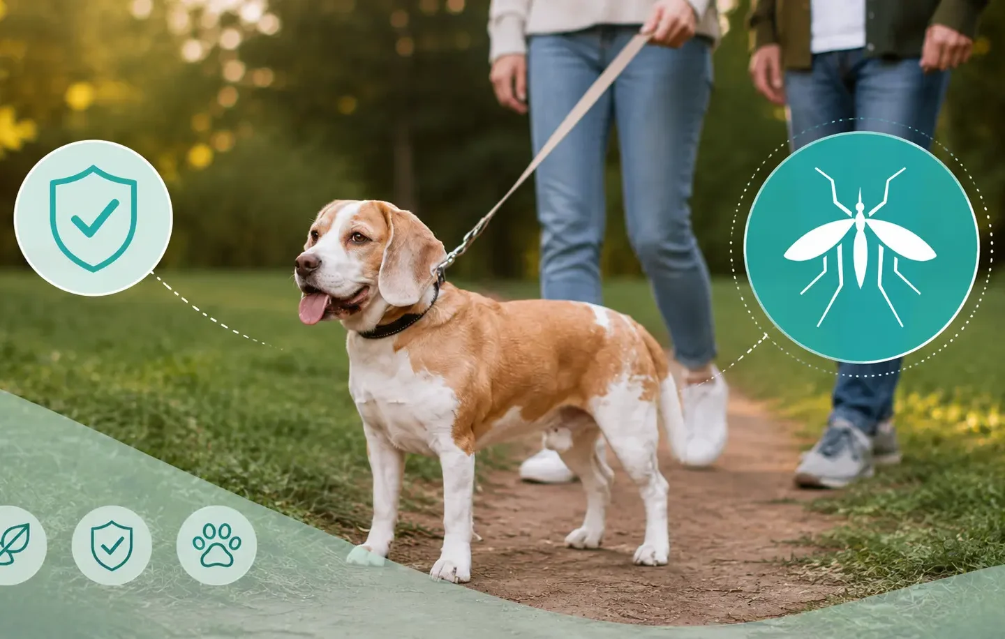 How to Protect Your Dog From Mosquito Bites