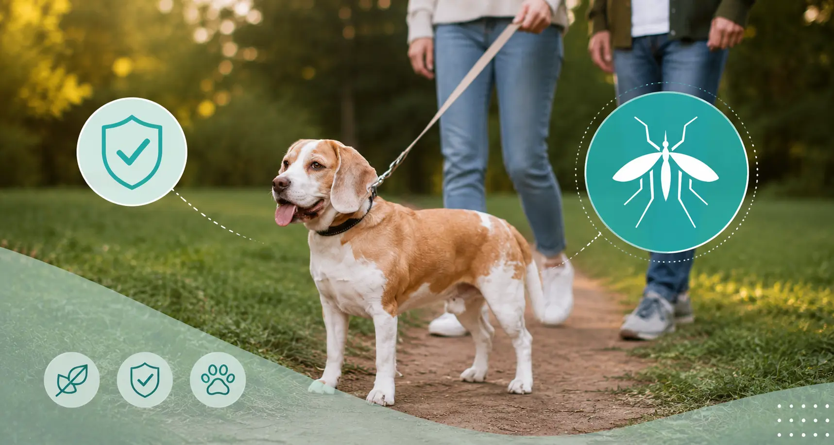 How to Protect Your Dog From Mosquito Bites