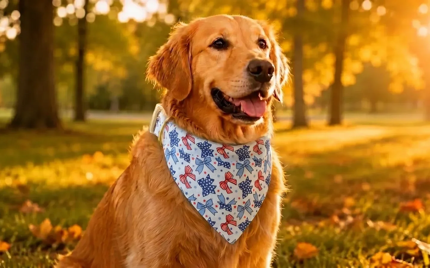 how to keep a dog bandana from falling off