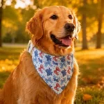 How to Keep a Dog Bandana From Falling Off