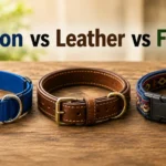 Best Dog Collar Materials: Nylon vs Leather vs Fabric